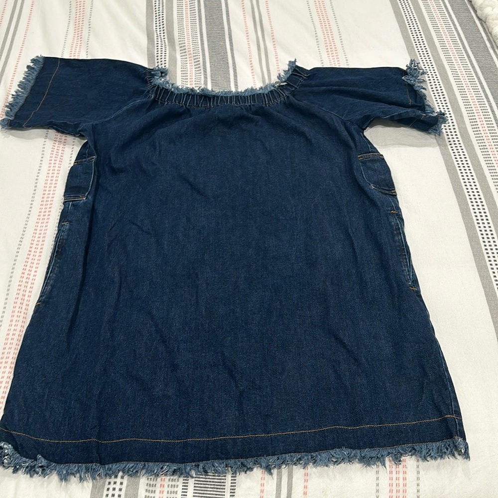 Madewell x Karen Walker Jean dress